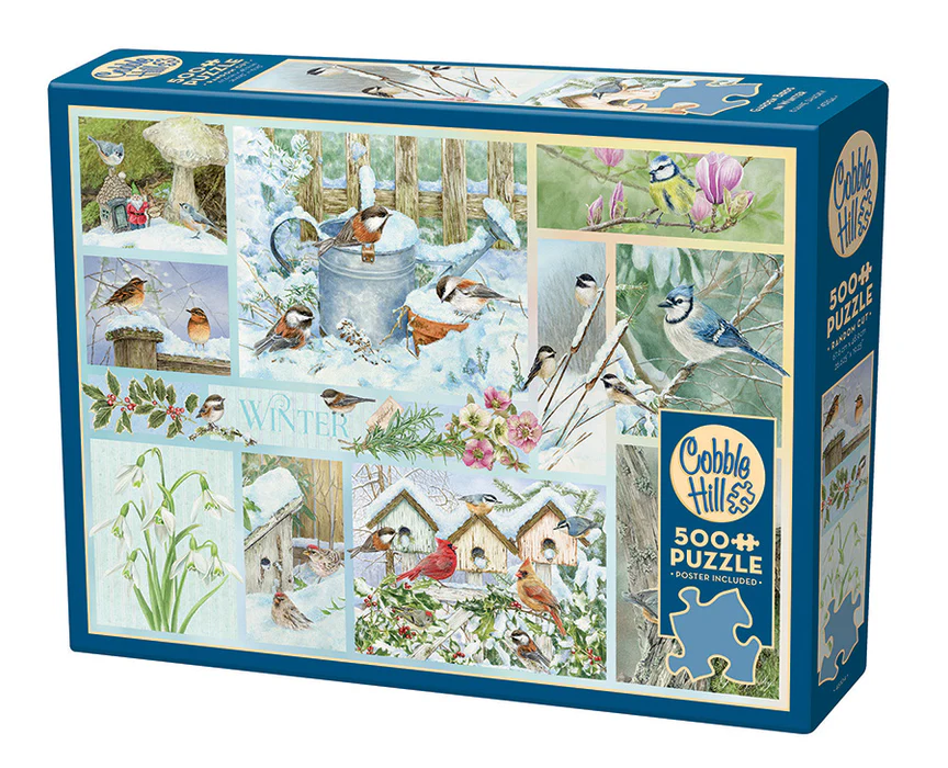 Garden Birds in Winter