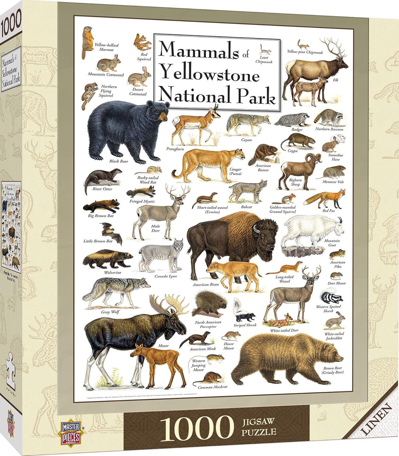 Mammals of Yellowstone National Park