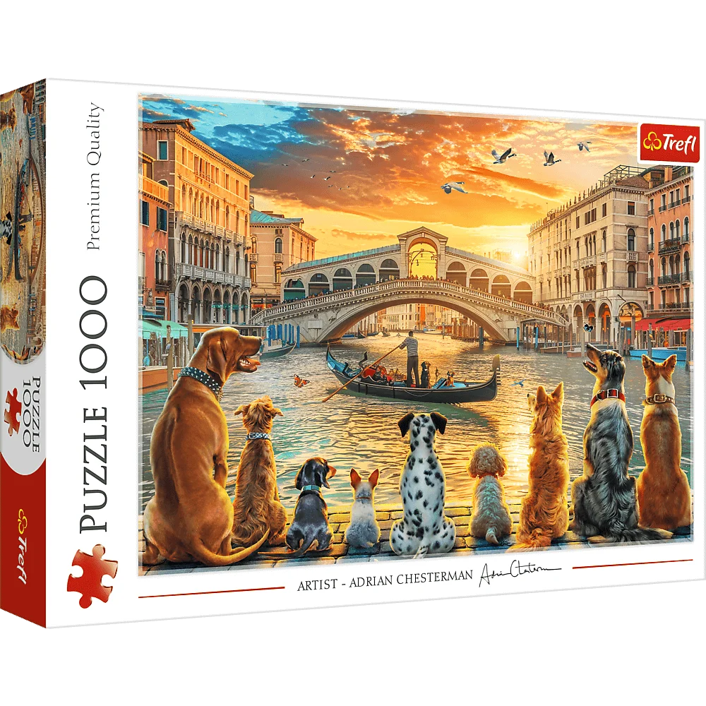 Dogs in Venice