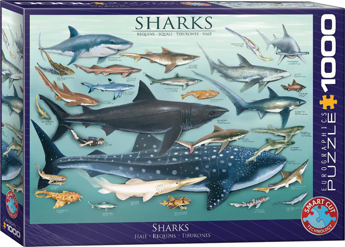 Sharks