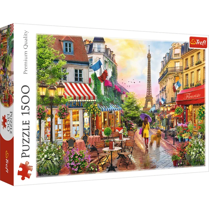 Charm of Paris