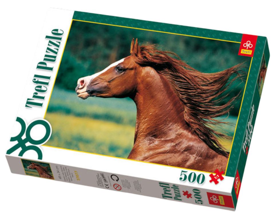 Arab, Stud Farm Niewierz