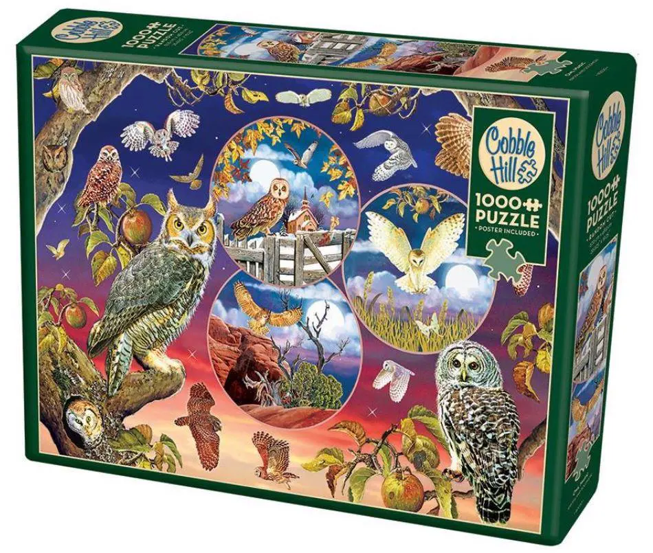 Owl Magic