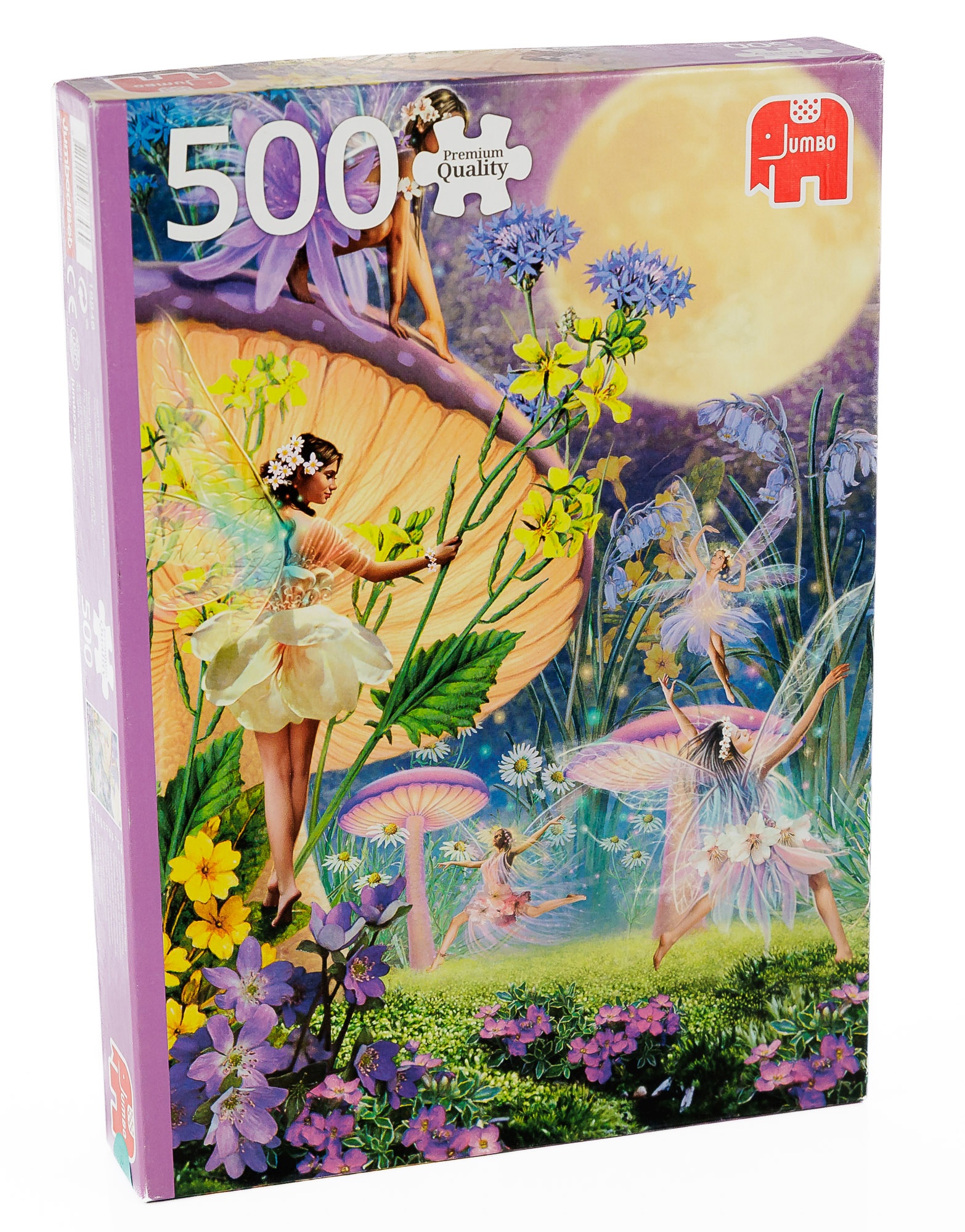 Fairy Dance in the Twilight