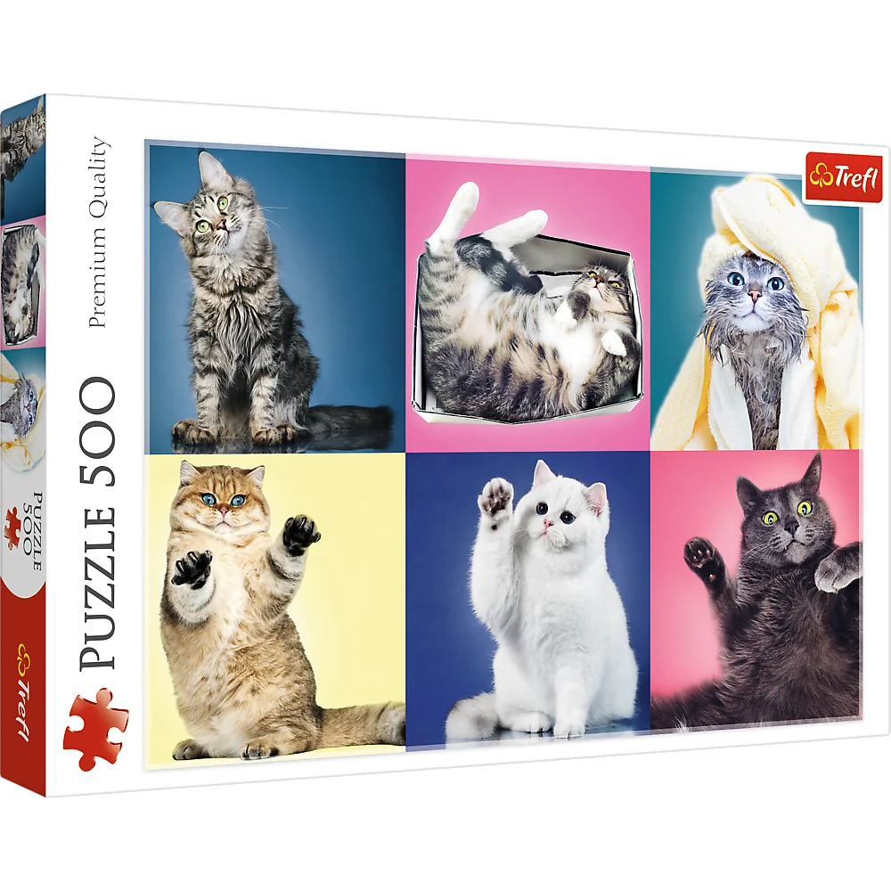 Kittens