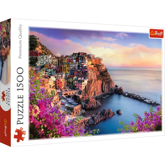 View of the Town of Manarola