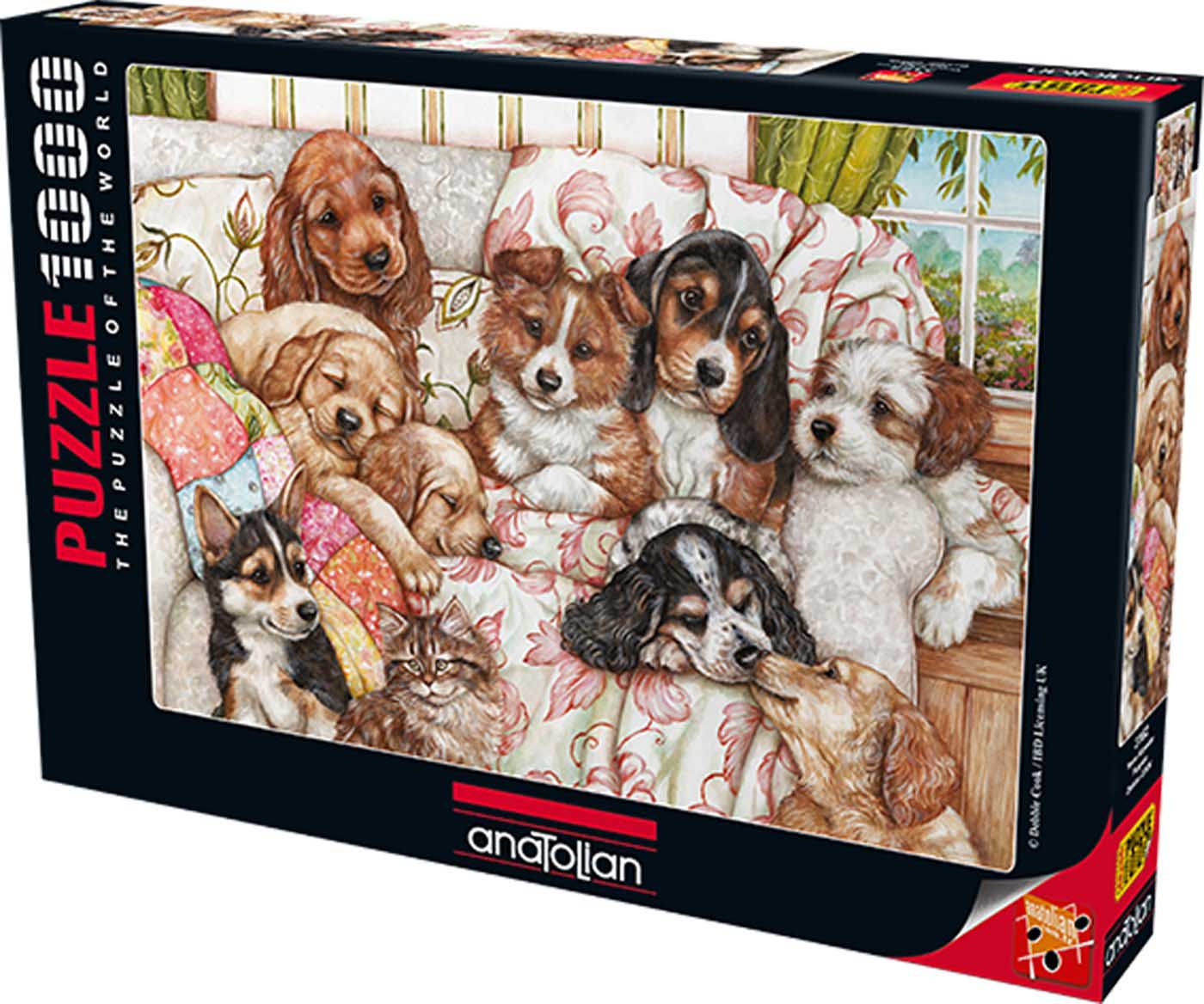 Puppies