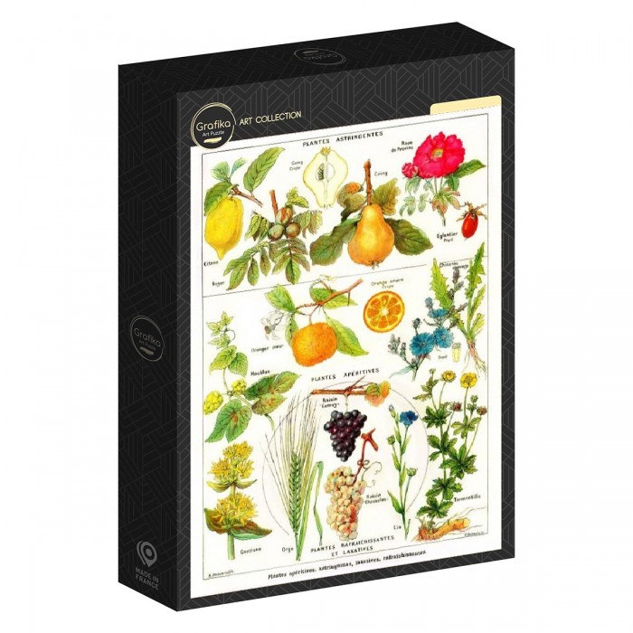 Astringent and Aperitive Plants, 1912