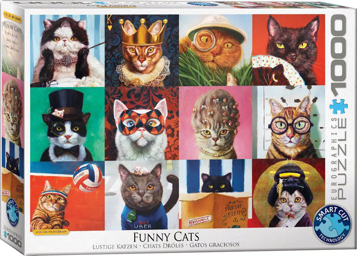 Funny Cats