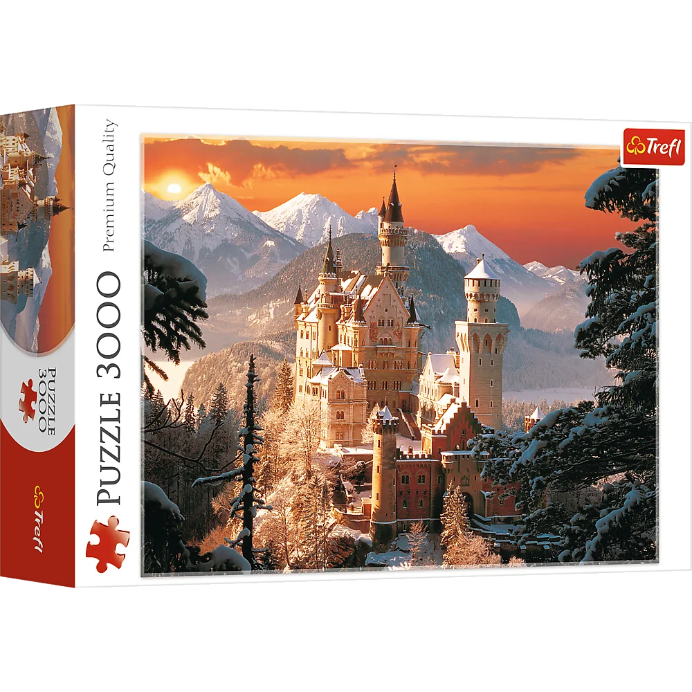 Wintry Neuschwanstein Castle, Germany