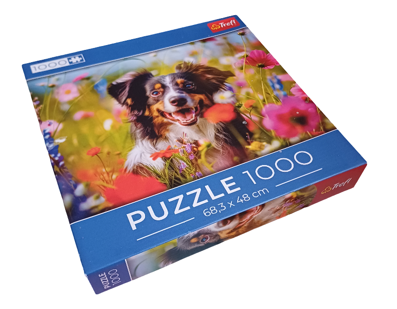 The Australian Shepherd Dog