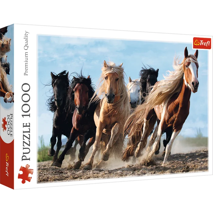 Galloping Horses