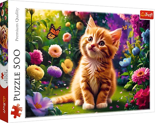 Cute Kitty