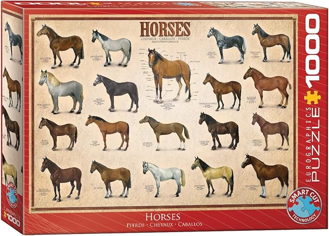 Horses