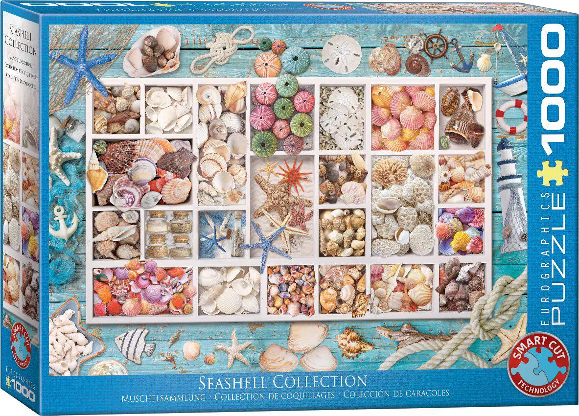 Seasshell Collection
