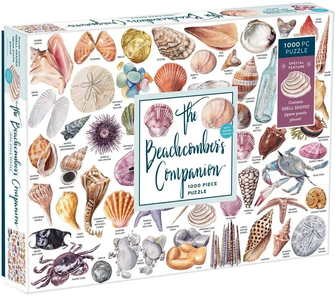 The Beachcomber'S Companion