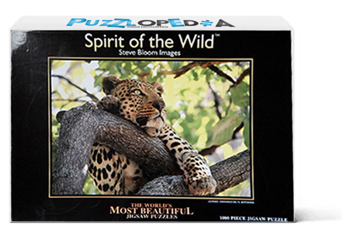 Leopard Okavango Delta Bostwana