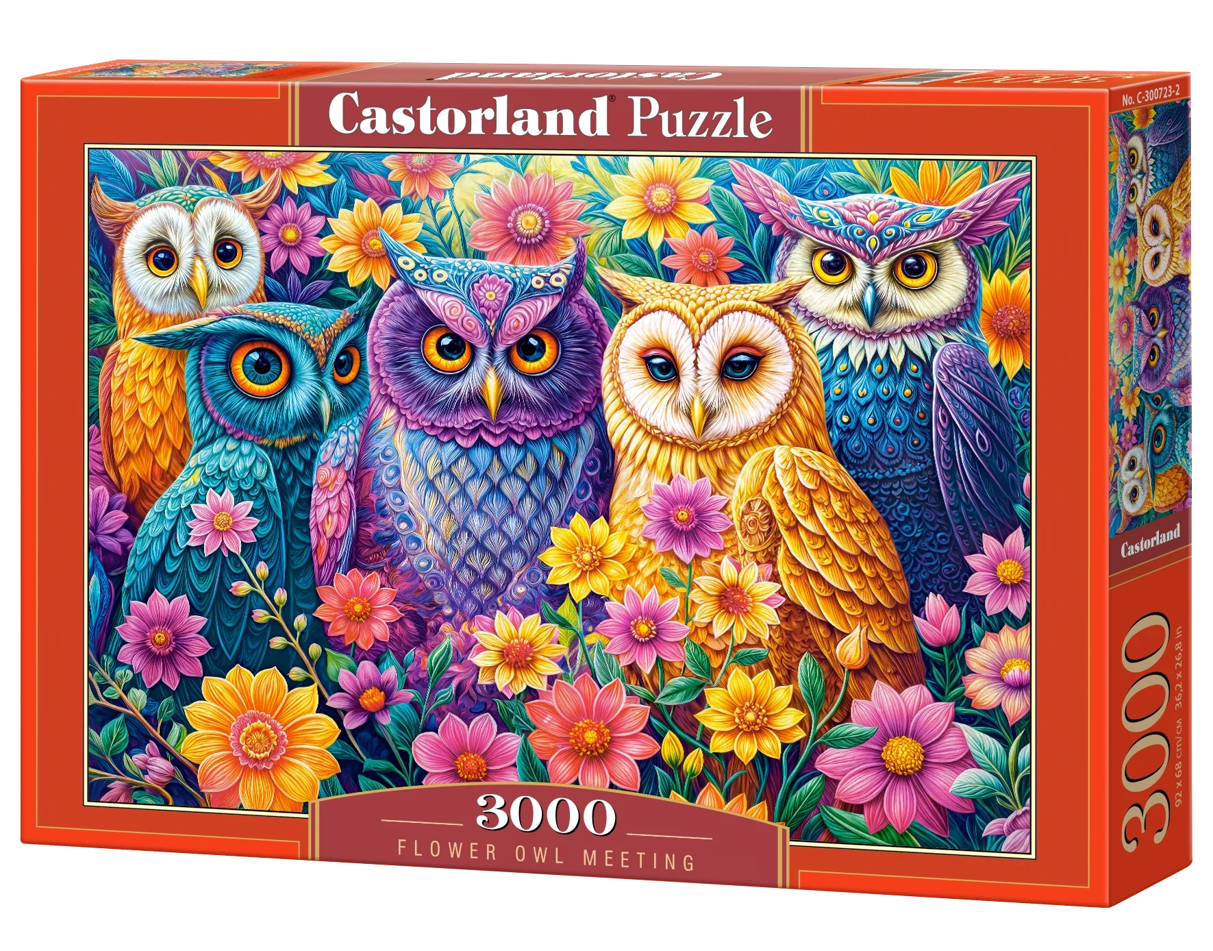 Flower Owl Meeting
